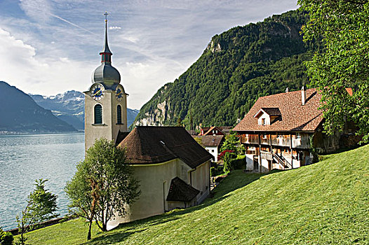 乡村,湖,琉森湖,瑞士,欧洲