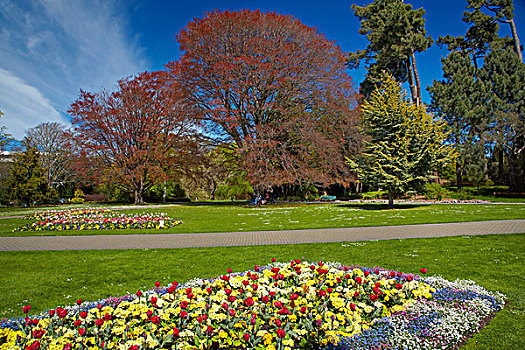 花坛,植物园,公园,坎特伯雷,南岛,新西兰