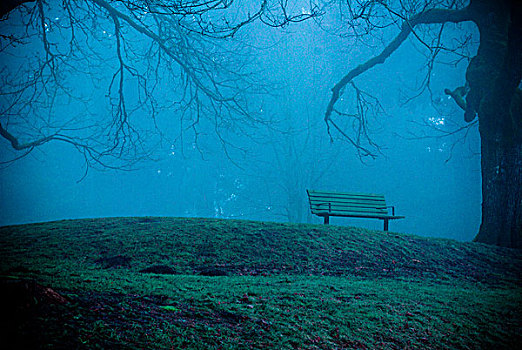 公园长椅,雾