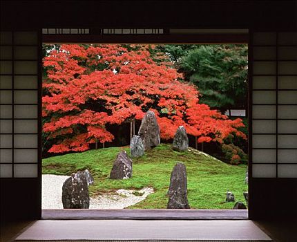 日本,京都,沙子,石头,花园,枫树