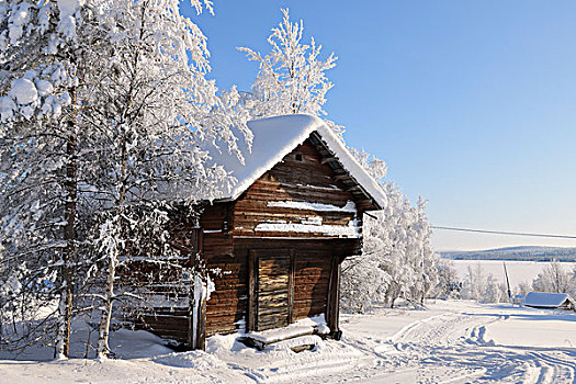 木屋,冬天,库萨莫,北方,芬兰
