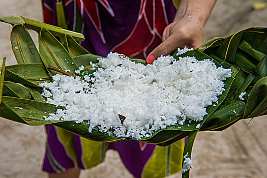 椰子,棕榈叶,波拉波拉岛,法属玻利尼西亚