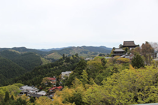 日本,奈良,山,房子