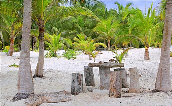 椰树,棕榈树,海滩,桌子,座椅