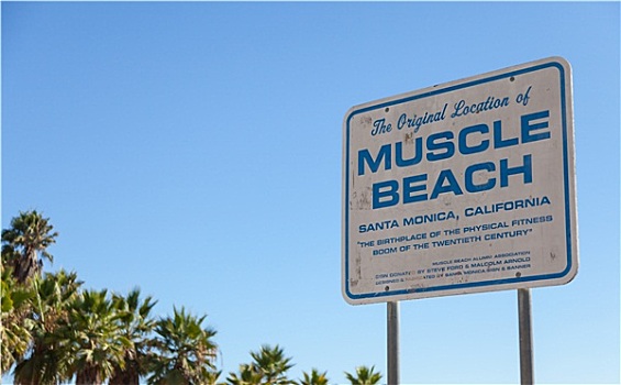 肌肉海滩
