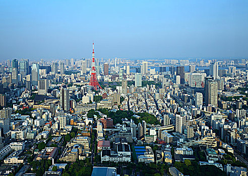 俯瞰东京塔,东京湾