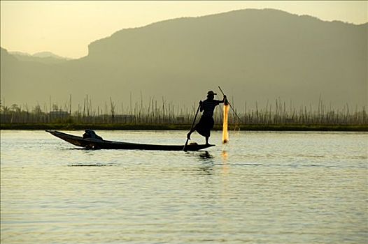 捕鱼者,排,腿,拿着,网,船,茵莱湖,掸邦,缅甸