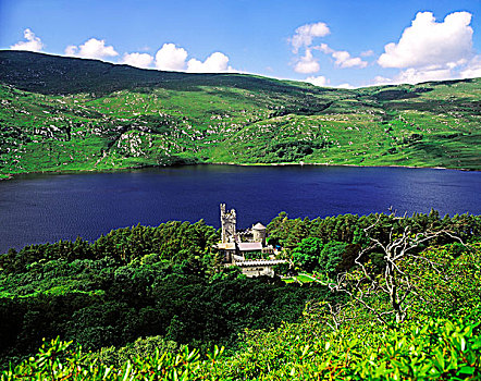 城堡,湖,多纳格,爱尔兰,19世纪