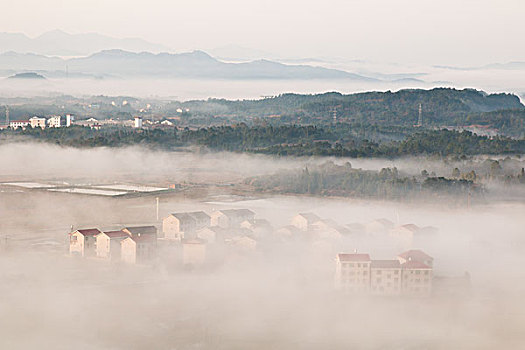 雾海,风景如画