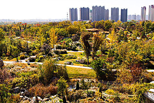 植物园