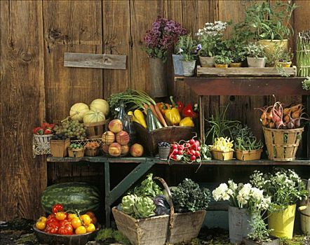 静物,水果,蔬菜,花