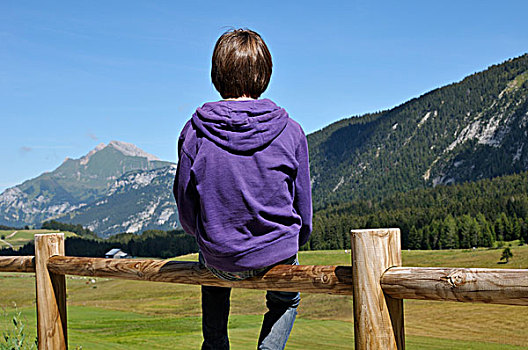 后视图,男孩,坐,木篱,高原,阿尔卑斯山,法国