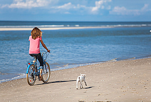 美女,狗,骑自行车,海滩,加来海峡省,母狗