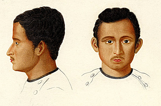 印度,种族,孟加拉,区域,历史,插画,1875年