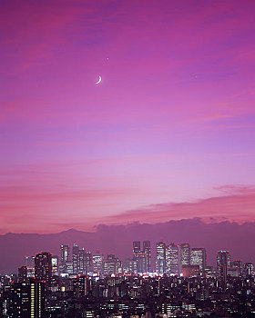 夜景,摩天大楼,新宿,办公室