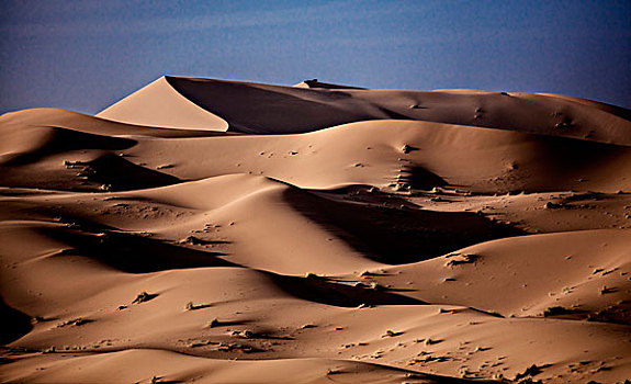 沙丘,形状,动作,风,天气,沙漠
