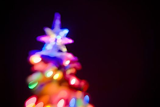 圣诞树,照亮,彩色,黄昏,冬天,阿拉斯加