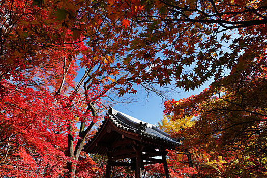 日本京都岚山常寂光寺