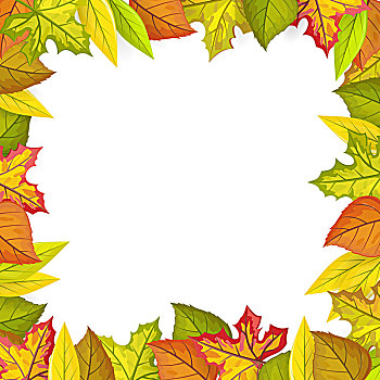 秋叶,矢量,设计,彩色,叶子,品种,树,上面,仰视,白色,留白,中间,装饰,自然,概念,季节,广告