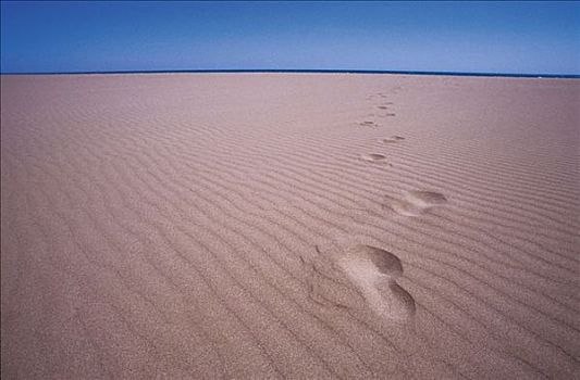 脚印,脚,轨迹,地中海,沙滩,沙丘,孤单,海滩