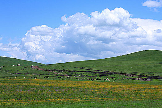 新疆伊犁-喀拉峻大草原
