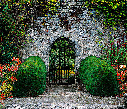 哥特式,花园,蒂帕雷里,爱尔兰