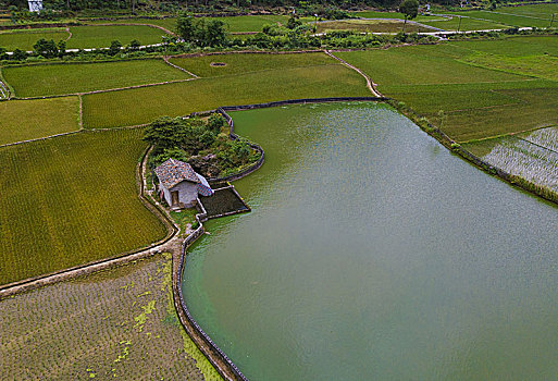 航拍中国南方乡村的农田池塘和房屋
