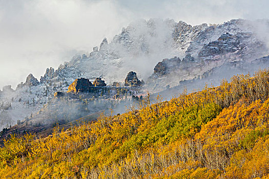 美國,內華達,國家森林,霧狀,山,樹林,畫廊,大幅,尺寸