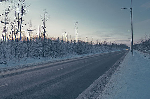 乡村道路,雪,树林,旧式