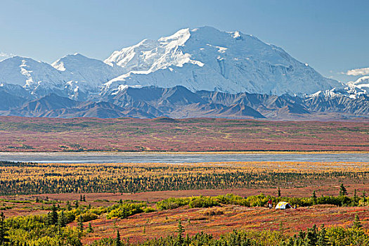 德纳里峰国家公园,阿拉斯加,山,麦金利山,塔,后面,露营,帐蓬,彩色,苔原,秋叶