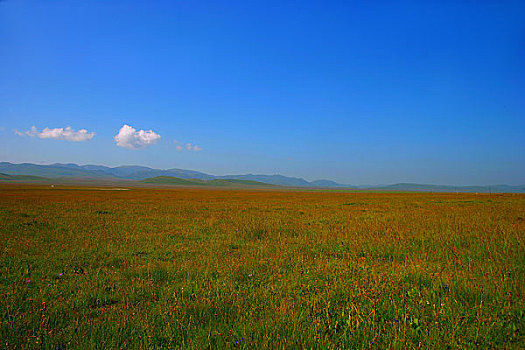 甘肃省甘南藏族自治州碌曲县尕海自然保护区