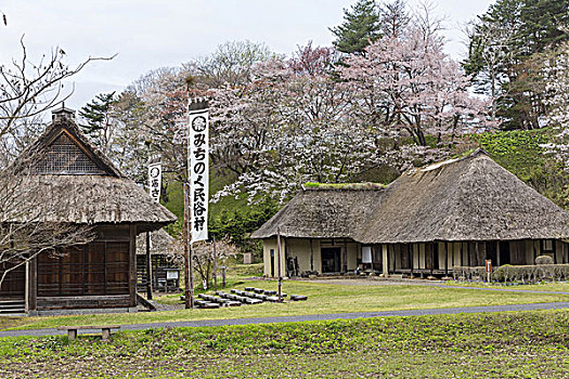 民俗,乡村,岩手县,日本