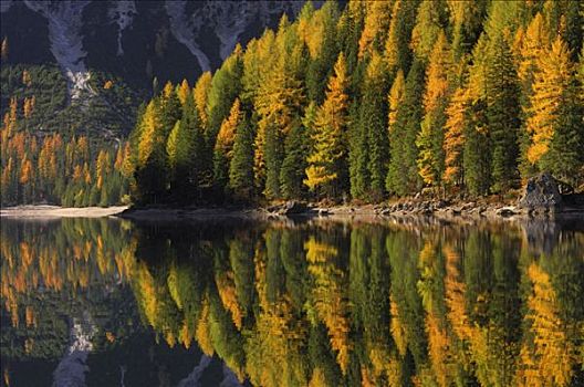 湖,阿尔卑斯山,自然公园,南蒂罗尔,意大利