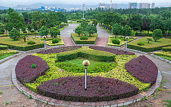 公园的圆形花坛