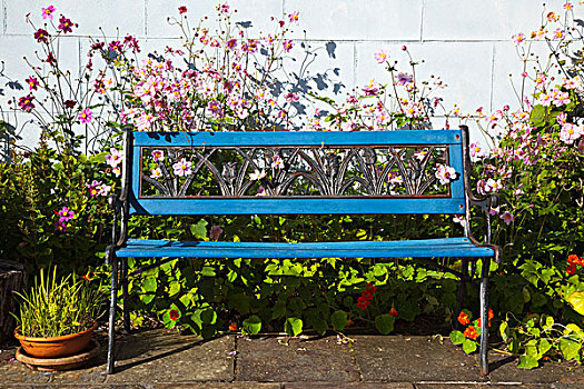 蓝色,园凳,戈尔韦郡,爱尔兰