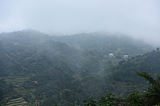 大雾迷茫