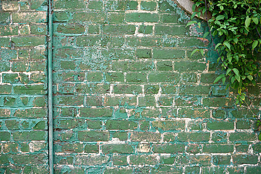 绿色,砖墙,背景,纹理