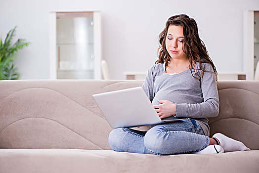孕妇,工作,笔记本电脑,坐,沙发