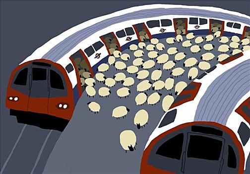 绵羊,2009年,20世纪,插画