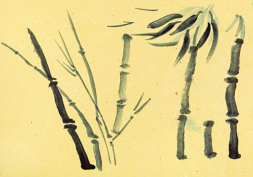素描,节茎植物,棕榈树