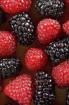 特写,黑莓,树莓