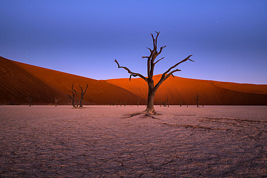 纳米比亚红沙漠