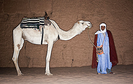 一个,男人,单峰骆驼,摩洛哥