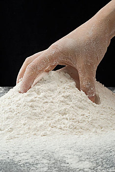 食品原材料-面粉