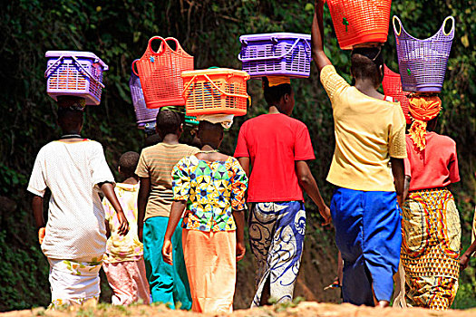 女人,走,篮子,头部,树林,国家公园,卢旺达