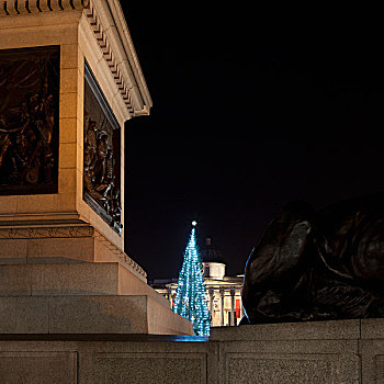 圣诞树,光亮,城市广场