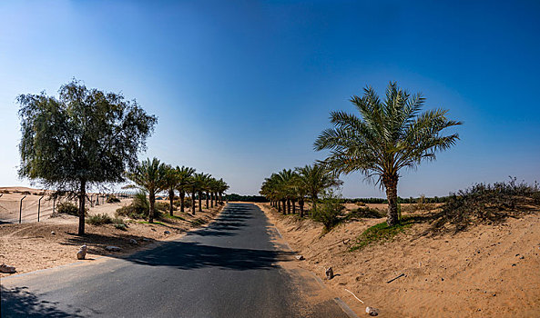 迪拜通往阿玛哈豪华精选沙漠水疗度假酒店大门公路