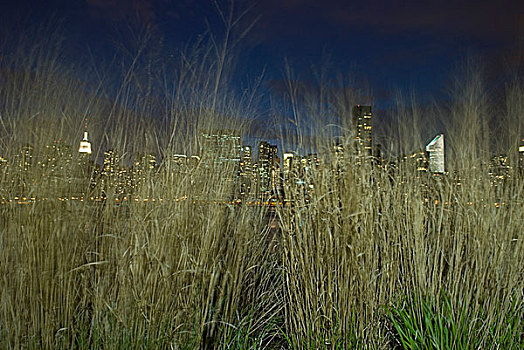 曼哈顿中城,天际线,风景,草,夜晚,纽约