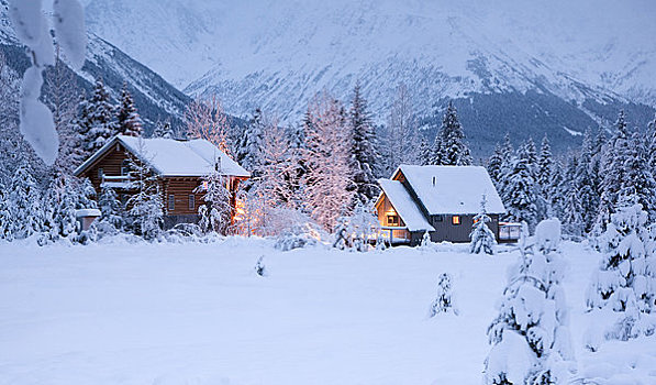 两个,雪盖,家,冬天,草地,黎明,室内,亮灯,阿拉斯加