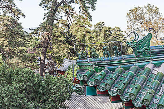 京西古刹戒台寺